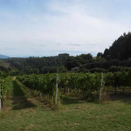 Podere Caldaruccio La Pineta 22 People Hotel 4*