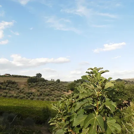 Podere Caldaruccio La Pineta 22 People Hotel Ramazzano - Le Pulci