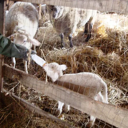 Podere Caldaruccio La Pineta 22 People Ramazzano - Le Pulci
