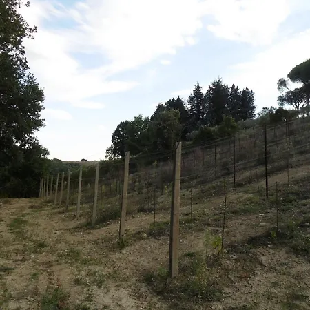 Hotel Podere Caldaruccio La Pineta 22 People 4*