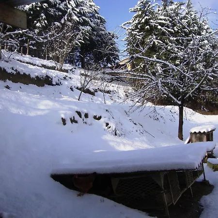 Podere Caldaruccio La Pineta 22 People 4*