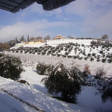 Podere Caldaruccio La Pineta 22 People Hotel
