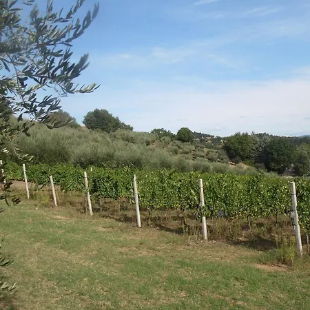 Podere Caldaruccio La Pineta 22 People 4*