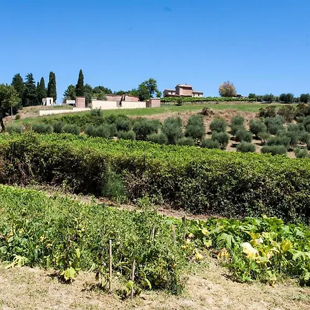 Podere Caldaruccio La Pineta 22 People 4*