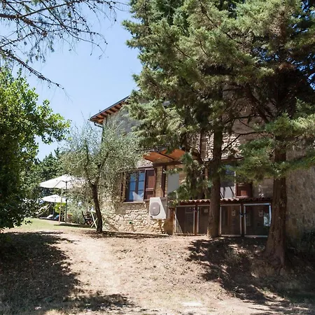 Podere Caldaruccio La Pineta 22 People 4* Ramazzano - Le Pulci